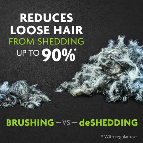 FURminator Medium Dog Undercoat deShedding Tool for Short Hair | Reduces Shedding by Up to 90% thumbnail 4