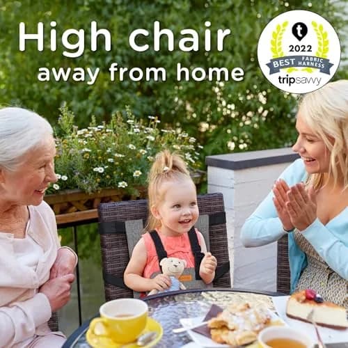 liuliuby Compact Travel High Chair for Baby | Portable Highchair Seat with 5-Point Harness, 27.2 cm (10.7 in) Height thumbnail 2