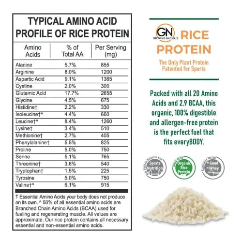 Growing Naturals Organic Rice Protein Powder, Chocolate Power, 16.8 Oz | Vegan & Non-GMO thumbnail 4