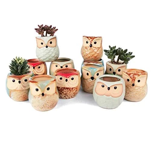 T4U Owl Succulent Pots, Mini Ceramic Planter, 12-Pack | Whimsical Owl Face Decor for Indoor Plants thumbnail 1