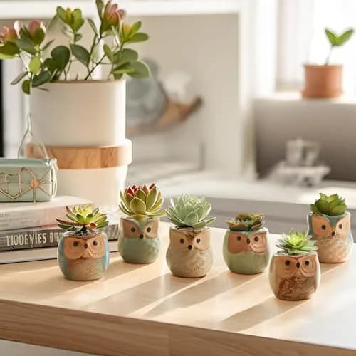 T4U Owl Succulent Pots, Mini Ceramic Planter, 12-Pack | Whimsical Owl Face Decor for Indoor Plants thumbnail 6