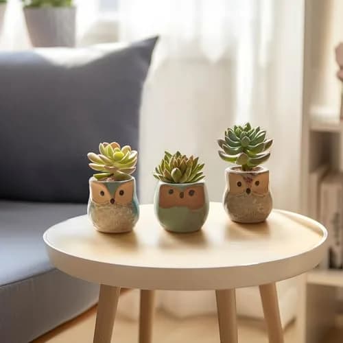 T4U Owl Succulent Pots, Mini Ceramic Planter, 12-Pack | Whimsical Owl Face Decor for Indoor Plants thumbnail 7