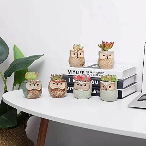 T4U Owl Succulent Pots, Mini Ceramic Planter, 12-Pack | Whimsical Owl Face Decor for Indoor Plants thumbnail 8