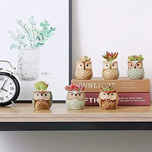 T4U Owl Succulent Pots, Mini Ceramic Planter, 12-Pack | Whimsical Owl Face Decor for Indoor Plants thumbnail 9