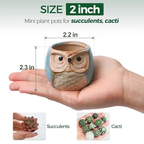 T4U Owl Succulent Pots, Mini Ceramic Planter, 12-Pack | Whimsical Owl Face Decor for Indoor Plants thumbnail 2