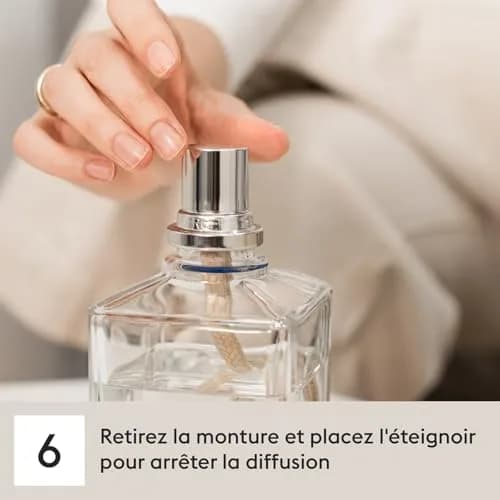 MAISON BERGER Catalytic Burner Replacement for Lampe Berger Lamps | Long-Lasting Ceramic, Easy Fit, Safe for MAISON BERGER Fragrances thumbnail 7
