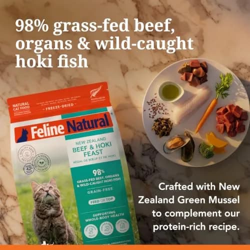 Feline Natural Beef & Hoki Freeze Dried Cat Food 100g (3.5oz) | 98% Meat High Protein Diet thumbnail 4