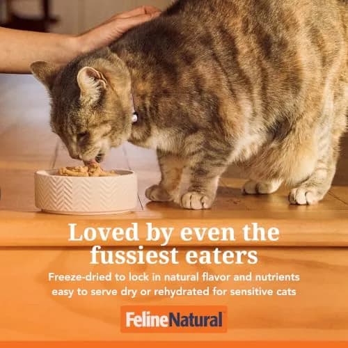 Feline Natural Beef & Hoki Freeze Dried Cat Food 100g (3.5oz) | 98% Meat High Protein Diet thumbnail 3
