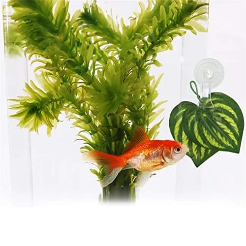 SLSON Fish & Aquarium Veggie Seaweed Clip 4 Pack | Aquarium Feeding & Decoration Tool thumbnail 6