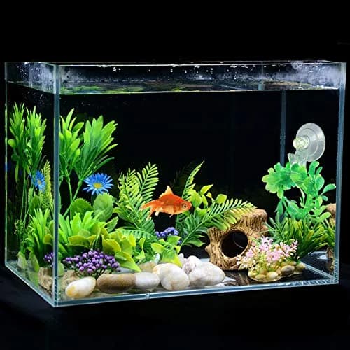 SLSON Fish & Aquarium Veggie Seaweed Clip 4 Pack | Aquarium Feeding & Decoration Tool thumbnail 2