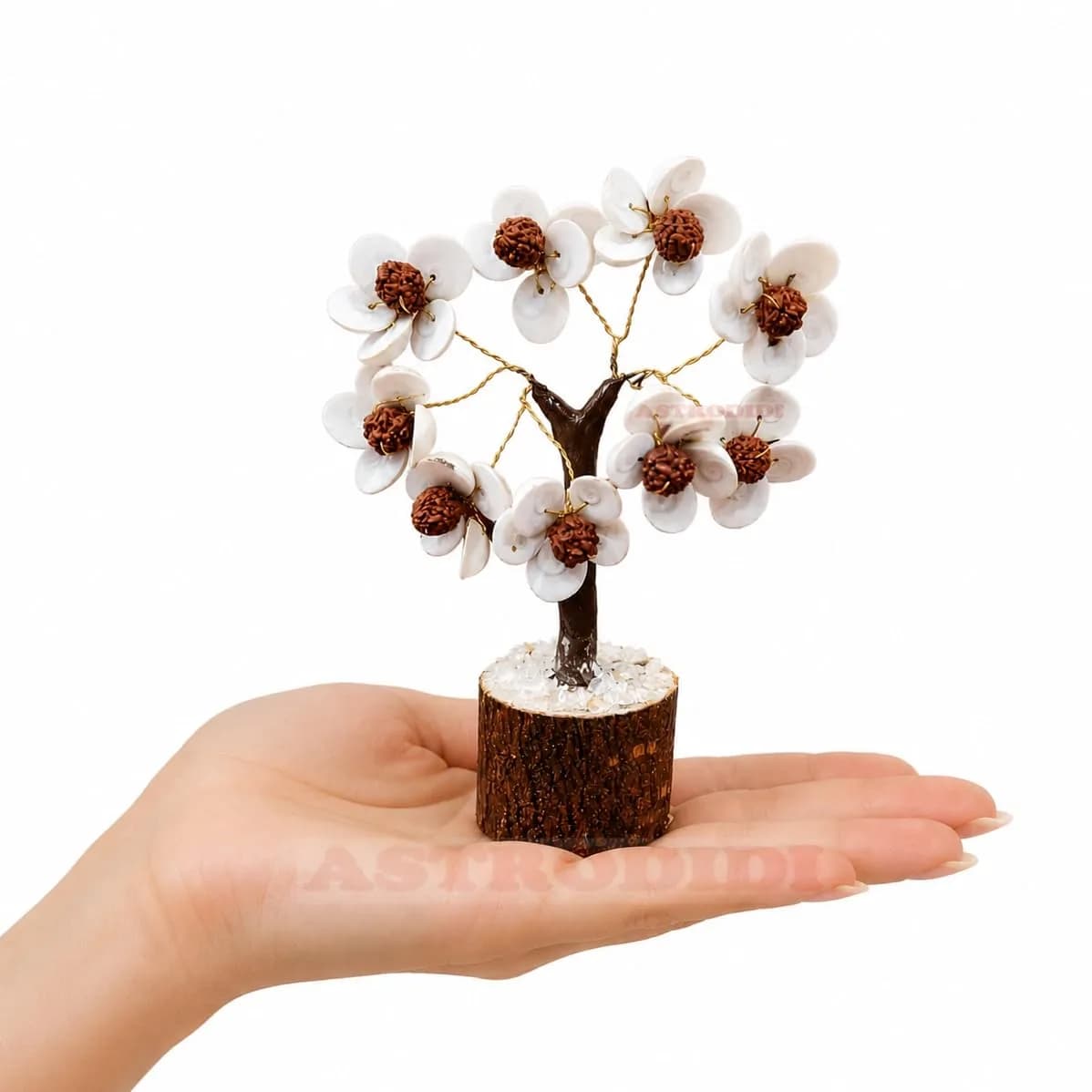 ASTRODIDI Rudraksha Gomti Chakra Tree with 45 Gomti Chakras & 9 Rudraksha Beads | Home & Office Decor — Multicolor