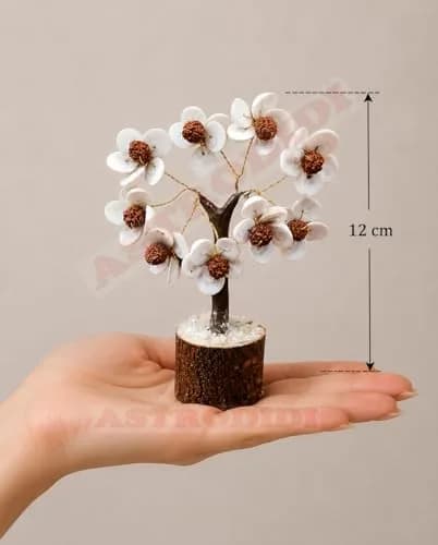 ASTRODIDI Rudraksha Gomti Chakra Tree with 45 Gomti Chakras & 9 Rudraksha Beads | Home & Office Decor thumbnail 4