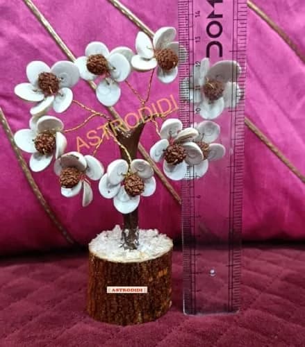 ASTRODIDI Rudraksha Gomti Chakra Tree with 45 Gomti Chakras & 9 Rudraksha Beads | Home & Office Decor thumbnail 5
