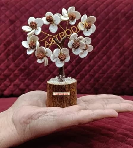ASTRODIDI Rudraksha Gomti Chakra Tree with 45 Gomti Chakras & 9 Rudraksha Beads | Home & Office Decor thumbnail 6
