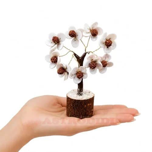 ASTRODIDI Rudraksha Gomti Chakra Tree with 45 Gomti Chakras & 9 Rudraksha Beads | Home & Office Decor thumbnail 1