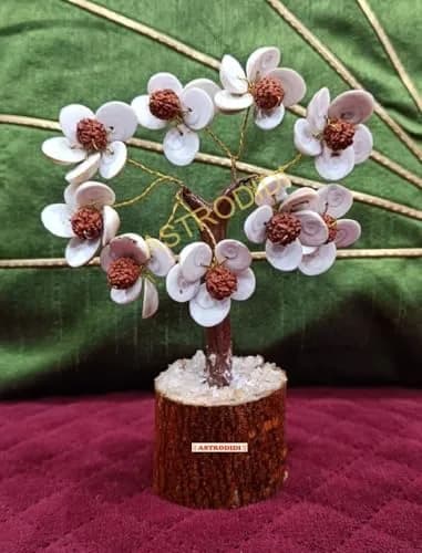 ASTRODIDI Rudraksha Gomti Chakra Tree with 45 Gomti Chakras & 9 Rudraksha Beads | Home & Office Decor thumbnail 7