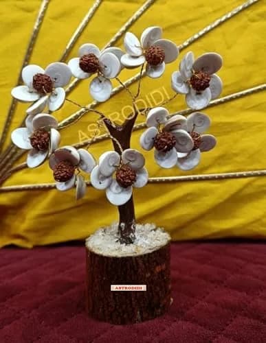 ASTRODIDI Rudraksha Gomti Chakra Tree with 45 Gomti Chakras & 9 Rudraksha Beads | Home & Office Decor thumbnail 8