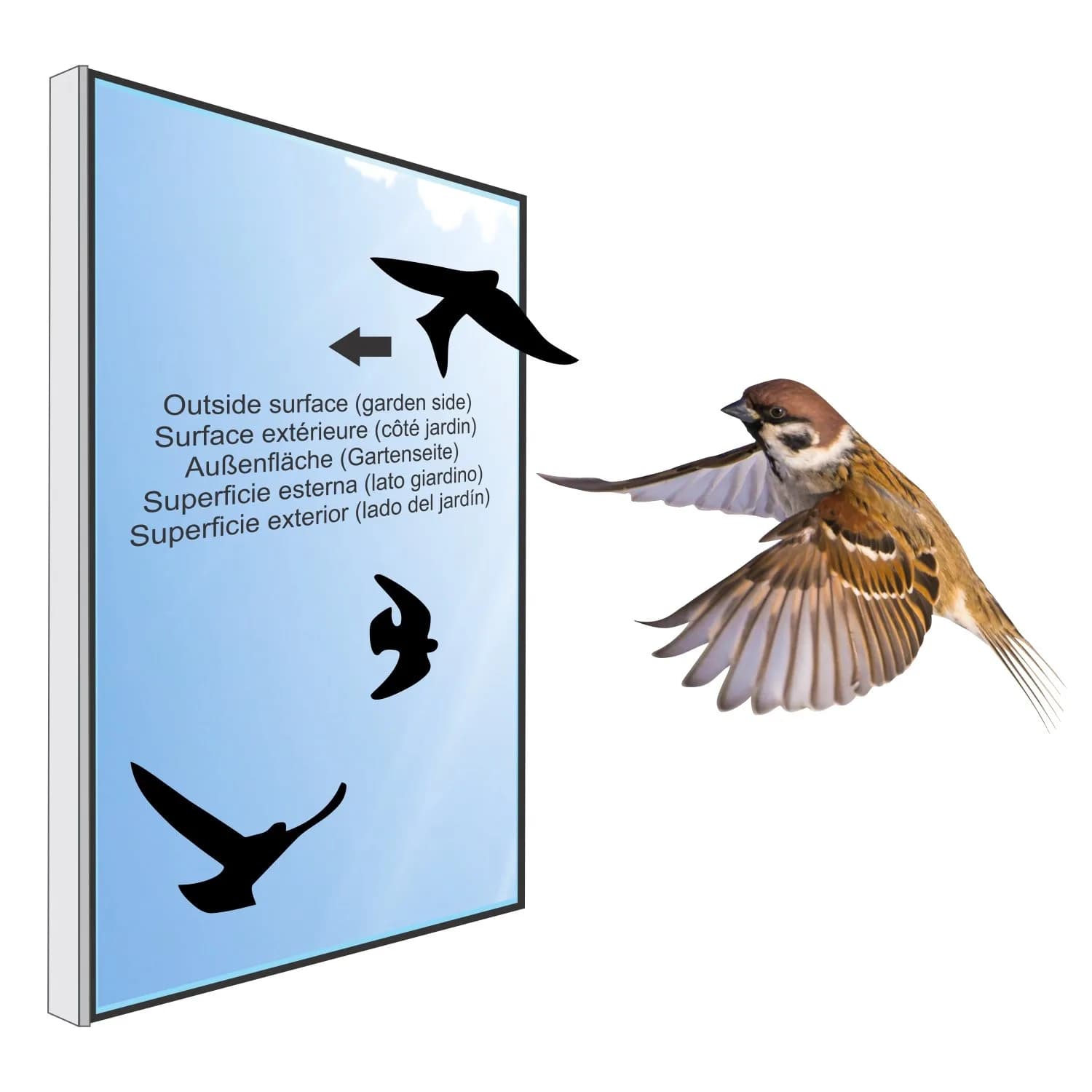 Decooo.be Anti-Collision Bird Strike Window Decals Set of 17 Silhouettes | Prevents Bird Collisions - view 6