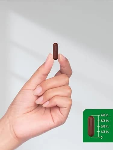 Horbäach Pine Bark Extract 180 Capsules | Standardized to 75% Proanthocyanidins thumbnail 8