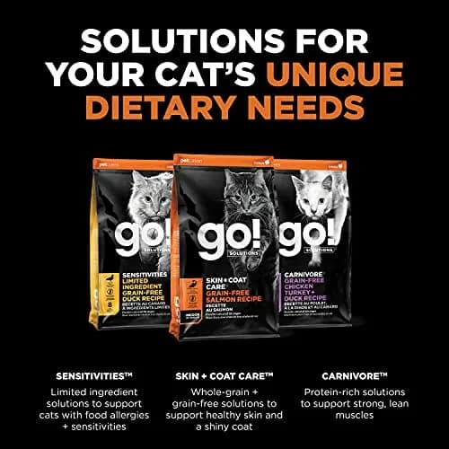 Go! Solutions Skin + Coat Care Salmon Grain-Free Dry Cat Food 16 lb | Supports Shiny Fur & Healthy Skin thumbnail 5