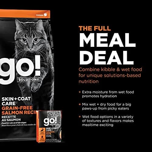 Go! Solutions Skin + Coat Care Salmon Grain-Free Dry Cat Food 16 lb | Supports Shiny Fur & Healthy Skin thumbnail 6