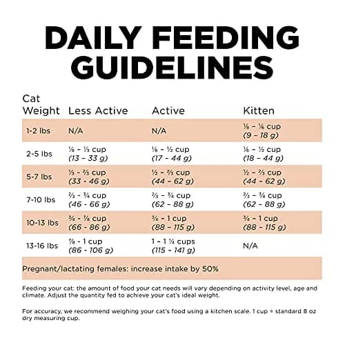 Go! Solutions Skin + Coat Care Salmon Grain-Free Dry Cat Food 16 lb | Supports Shiny Fur & Healthy Skin thumbnail 7
