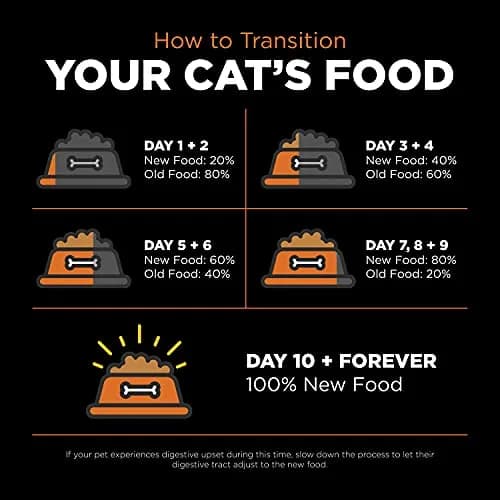 Go! Solutions Skin + Coat Care Salmon Grain-Free Dry Cat Food 16 lb | Supports Shiny Fur & Healthy Skin thumbnail 8