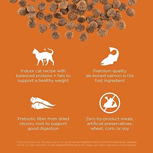 Go! Solutions Skin + Coat Care Salmon Grain-Free Dry Cat Food 16 lb | Supports Shiny Fur & Healthy Skin thumbnail 3