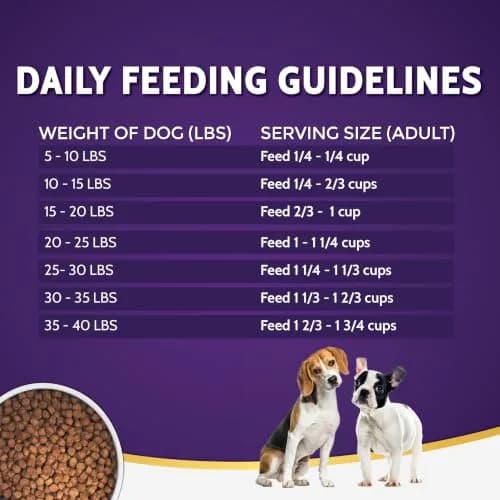 Zignature Kangaroo Limited Ingredient Formula Small Bites Dry Dog Food 12.5lb | Supports Digestive Health & Small Breeds thumbnail 6