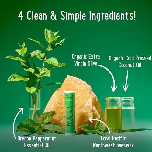 Portland Bee Balm Organic Lip Balm with Organic Coconut & Olive Oil | Handmade Beeswax, Cruelty Free, Plastic Neutral (24 Count) thumbnail 2