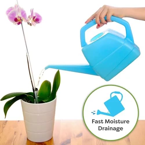 Perfect Plants Orchid Potting Mix, 1 qt, Bark Blend for Phalaenopsis | Well-Balanced Orchid Root Environment thumbnail 4