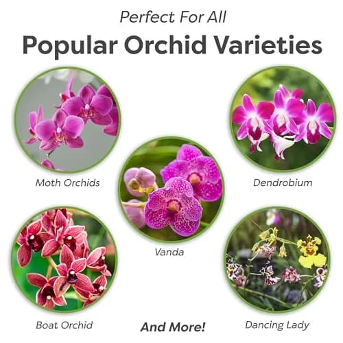Perfect Plants Orchid Potting Mix, 1 qt, Bark Blend for Phalaenopsis | Well-Balanced Orchid Root Environment thumbnail 2