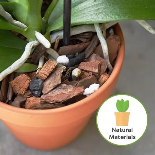 Perfect Plants Orchid Potting Mix, 1 qt, Bark Blend for Phalaenopsis | Well-Balanced Orchid Root Environment thumbnail 3
