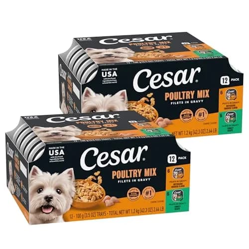 Cesar Filets in Gravy Wet Dog Food Poultry Mix 3.5 oz | Made in USA with Natural Ingredients thumbnail 1
