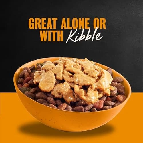 Cesar Filets in Gravy Wet Dog Food Poultry Mix 3.5 oz | Made in USA with Natural Ingredients thumbnail 4