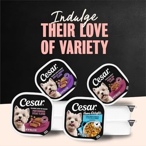 Cesar Filets in Gravy Wet Dog Food Poultry Mix 3.5 oz | Made in USA with Natural Ingredients thumbnail 6