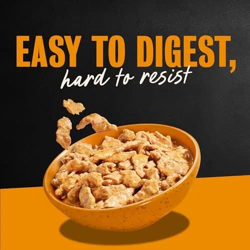 Cesar Filets in Gravy Wet Dog Food Poultry Mix 3.5 oz | Made in USA with Natural Ingredients thumbnail 9