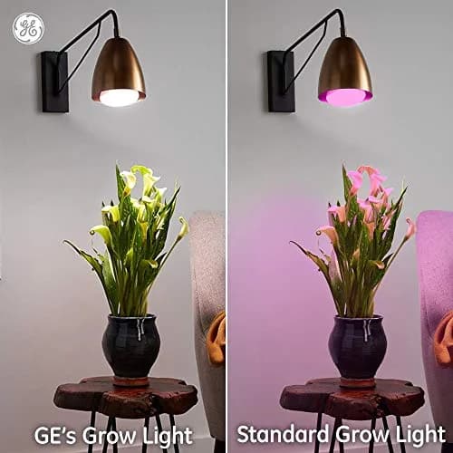 GE Grow Light Advanced Red BR30 (1-Pack) | Full Spectrum LED Bulb for Seeds & Greens thumbnail 4