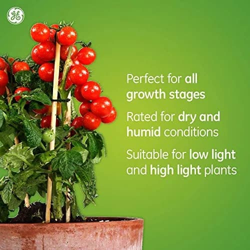 GE Grow Light Advanced Red BR30 (1-Pack) | Full Spectrum LED Bulb for Seeds & Greens thumbnail 6
