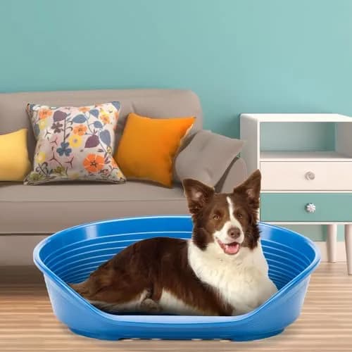 Ferplast Pet Bed, Plastic Dog & Cat Bed Large | Ventilated, Stable & Eco-Friendly 93.5x68x28.5cm thumbnail 2