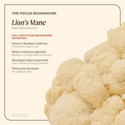OM MUSHROOM SUPERFOOD Lion’s Mane Mushroom Capsules - Organic Brain Support, 90 Count (30 Servings) in USA thumbnail 3