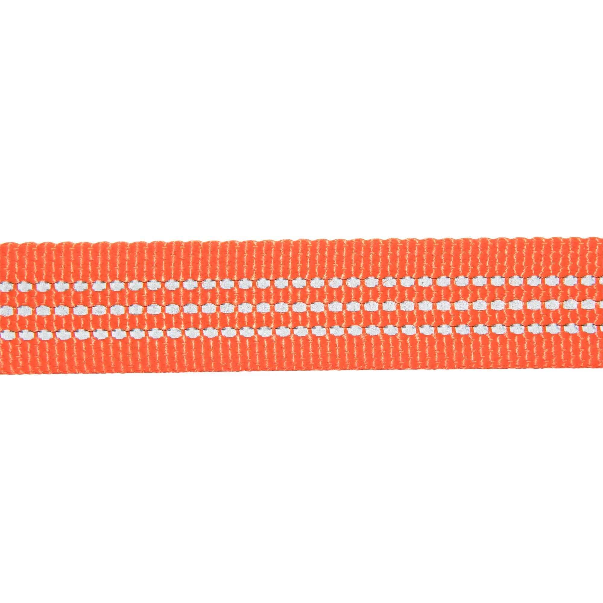 Carhartt Durable Nylon Webbing Dog Leash 1.83 m (6') with Reflective Stitching | Hunter Orange, Small - view 5