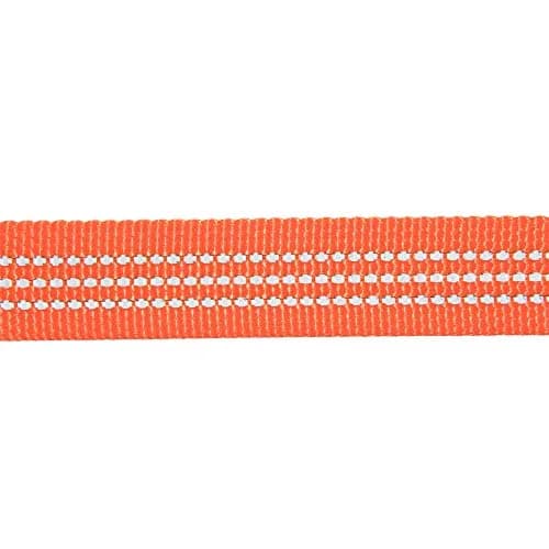 Carhartt Durable Nylon Webbing Dog Leash 1.83 m (6') with Reflective Stitching | Hunter Orange, Small thumbnail 5