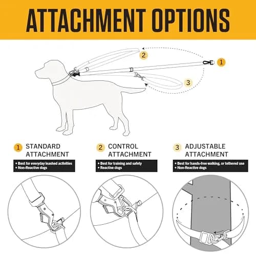 Carhartt Durable Nylon Webbing Dog Leash 1.83 m (6') | Reflective Stitching for Visibility thumbnail 4
