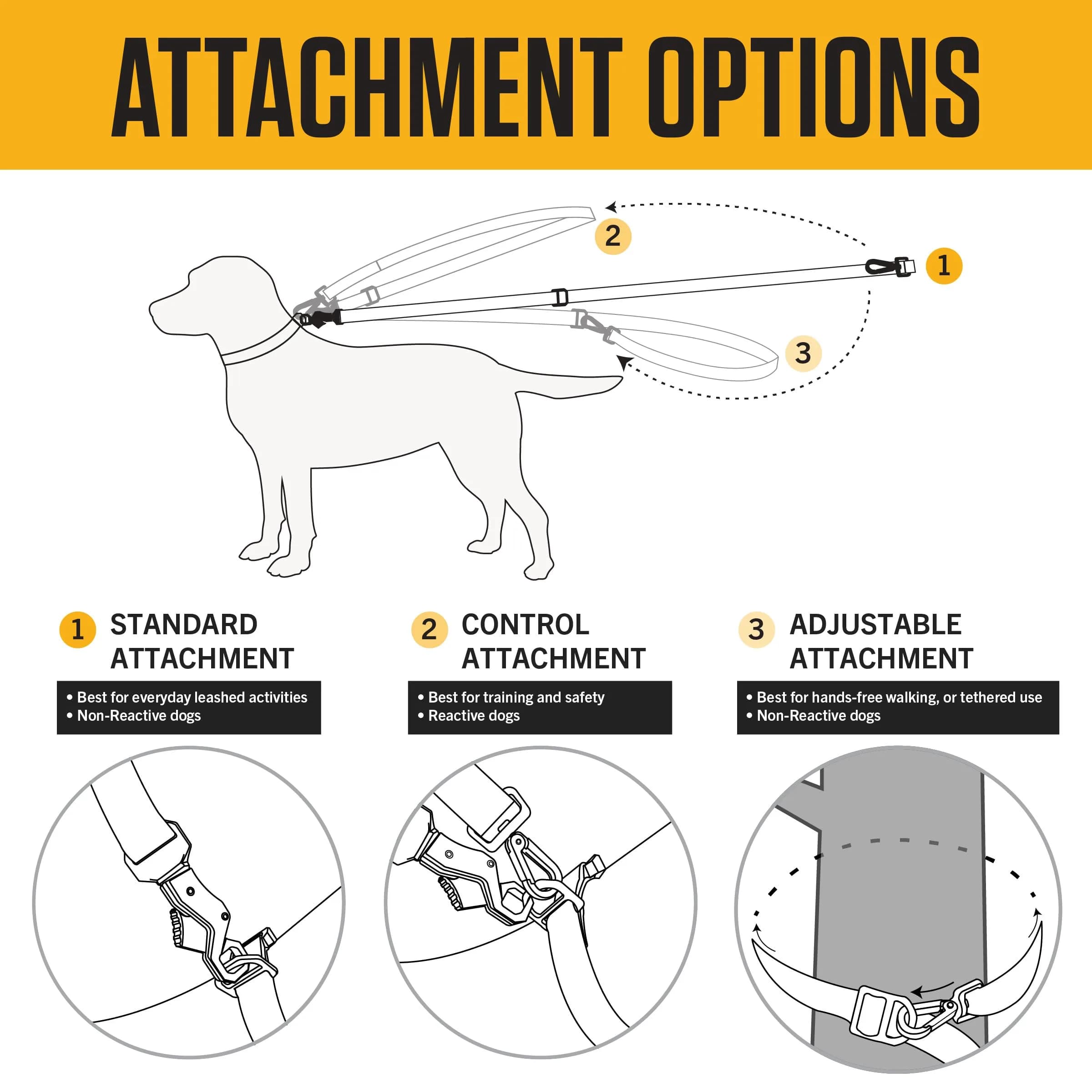 Carhartt Durable Nylon Webbing Dog Leash 1.83 m (6') | Reflective Stitching for Visibility - view 4