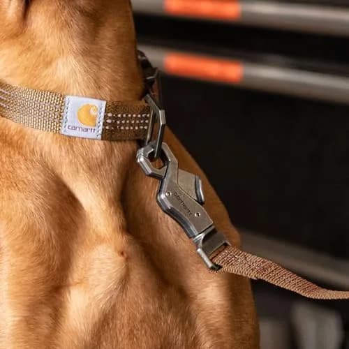 Carhartt Durable Nylon Webbing Dog Leash 1.83 m (6') | Reflective Stitching for Visibility thumbnail 5