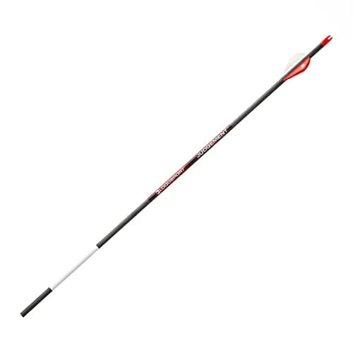 Bloodsport Judgement Arrow 31" | Precise Lightweight Carbon for Hunting thumbnail 1