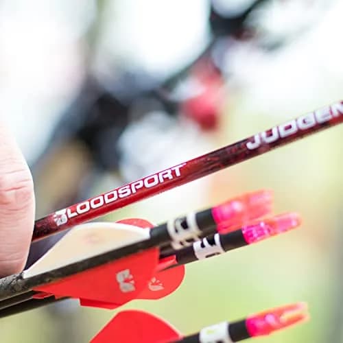 Bloodsport Judgement Arrow 31" | Precise Lightweight Carbon for Hunting thumbnail 7
