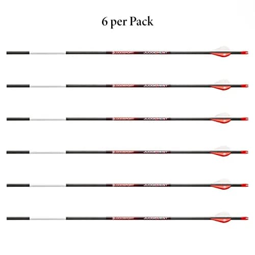 Bloodsport Judgement Arrow 31" | Precise Lightweight Carbon for Hunting thumbnail 2