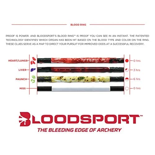 Bloodsport Judgement Arrow 31" | Precision Carbon Hunting Arrow for Compound Bow thumbnail 3